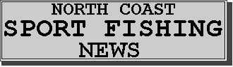 NCSF NEWS