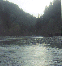 Looking downstream from Grizzly State Park